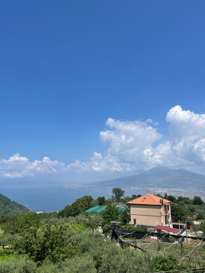 Villa Marilù Pimonte Extérieur photo